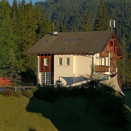 Hotel Ca' Del Bosco Selva di Cadore Bagian luar foto